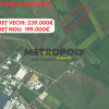 TEREN INVESTITIE - 63000 MP SURA MICA !
