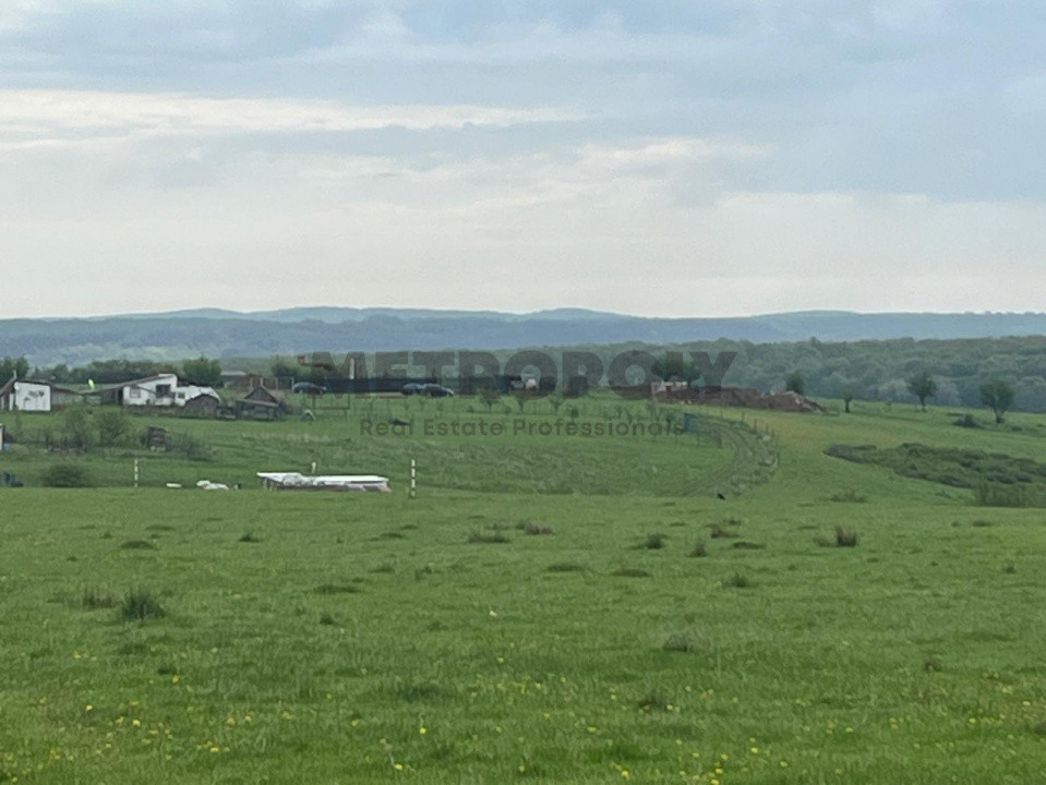 Teren intravilan 438 mp | Calea Cisnădiei – Str. Zorilor | Potențial excelent
