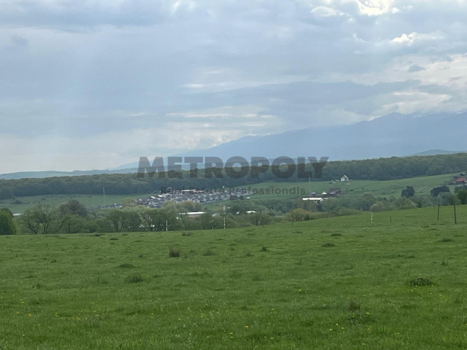 Teren intravilan 438 mp | Calea Cisnădiei – Str. Zorilor | Potențial excelent
