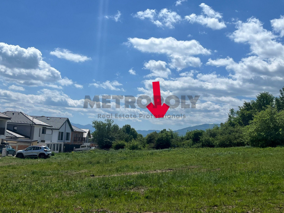  Teren 5.000 mp pe Calea Cisnădiei